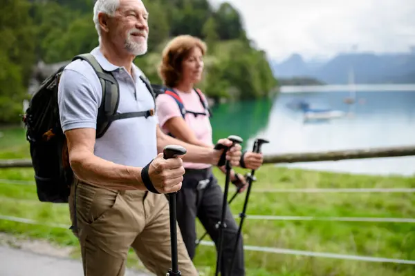 这对活跃的老夫妇在山上一起远足的画像 为稳定起见 资深游客带着远足杆步行 图库照片
