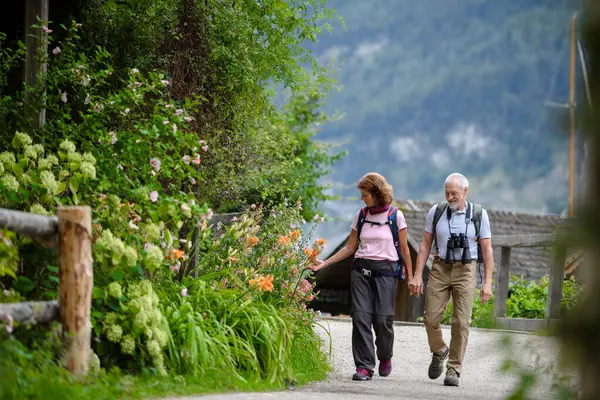 Aktives Älteres Ehepaar Auf Gemeinsamer Fahrt Einem Frühlingstag Seniorentouristen Besuch lizenzfreie Stockfotos