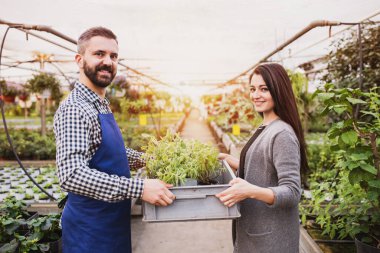 Erkek bahçıvan, müşteriye bahçesine uygun çiçek ve fideleri seçmesinde yardımcı oluyor. Bahçe mevsiminde çok çeşitli bitkiler sunuyor..