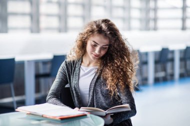 Kütüphanedeki genç bayan öğrenci, son projeye odaklanıyor, sunum. Üniversite öğrencisi final sınavına hazırlanıyor, yazıyor.