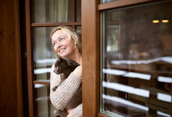 Beautiful Mature Woman Home Holding Petting Her Cat Looking Window Royalty Free Stock Images