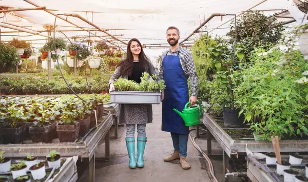 Tuinman Klant Met Gieter Plastic Krat Plantenbak Kleine Kas Bedrijf Stockfoto