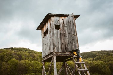 Çocuk ormanda yürürken kör avcılık merdiveni üzerinde güzel bahar doğasını, vahşi yaşamı gözlemlemek için tırmanıyor. Görünüm kulesi.