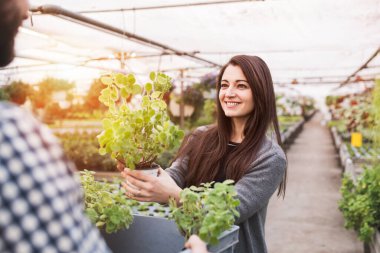 Erkek bahçıvan, müşteriye bahçesine uygun çiçek ve fideleri seçmesinde yardımcı oluyor. Bahçe mevsiminde çok çeşitli bitkiler sunuyor..