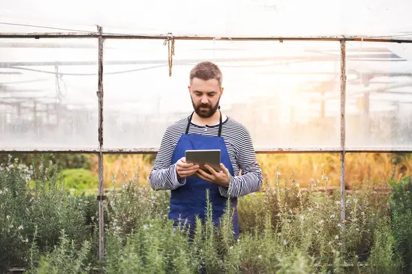 Zahradník Který Drží Tablet Pořádku Připravuje Květiny Sazenice Pro Zákazníka Stock Snímky