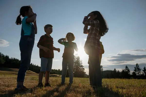 stock image Portrait of young classmates, students during biology field teaching class, walking across meadow. Learning about ecosystem, ecology and nature.