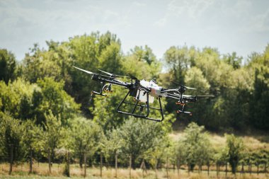 Tarımsal dronlar ekinleri ilaçlıyor, böcek ilacı, ot ilacı ve gübre dağıtıyorlar. Etkili ve kesin bir şekilde. İnsansız hava aracının tarlaları modernleştirmesi, modern tarım teknolojileri..