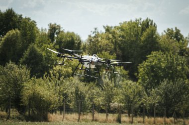 Tarımsal dronlar ekinleri ilaçlıyor, böcek ilacı, ot ilacı ve gübre dağıtıyorlar. Etkili ve kesin bir şekilde. İnsansız hava aracının tarlaları modernleştirmesi, modern tarım teknolojileri..