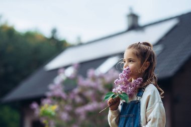 Elinde mor leylak çiçekleri olan güzel bir genç kız. Genç kız doğada, ilkbaharda, yazda vakit geçiriyor. Arka planda güneş panelleri olan ev.