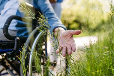 Bakıcı ve tekerlekli sandalyedeki yaşlı kadın yabani çiçek topluyor. Hemşire ve yaşlı kadın huzurevinde, halk parkında sıcak bir gün geçiriyor..