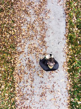 Düşen yapraklarla yol üzerinde duran bir koşucunun hava görüntüsü, akıllı telefon tutuşu, akıllı saat eğitim performansını kontrol etme.