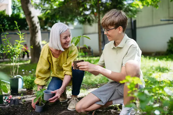 stock image Teacher and young schoolboy during outdoor sustainable education, lesson in forest school. Planting vegetable seedling in soil. Concept of experiential learning, ecoliteracy.