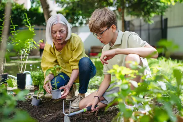 stock image Teacher and young schoolboy during outdoor sustainable education, lesson in forest school. Planting vegetable seedling in soil. Concept of experiential learning, ecoliteracy.