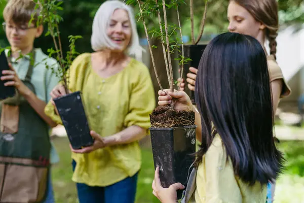 stock image Kids learning about fruit tree seedling and fruit bushes, taking care of school garden during outdoor sustainable education, class in forest school.