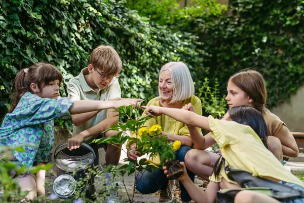 stock image Young kids taking care of plants in school garden during at outdoor sustainable education class, planting flowers, herbs and vegetables. Concept of experiential learning, ecoliteracy.