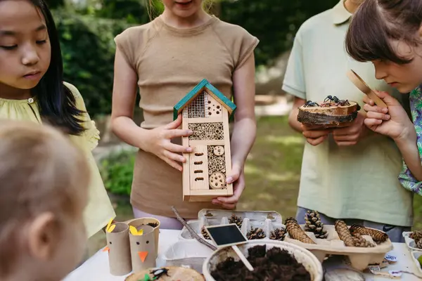 stock image Insect hotel as educational tool for children in outdoor sustainable educational class. Young students learning about insect and biodiversity, holding wooden bug house.