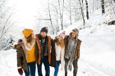 Karlı doğada yürüyüş yapan bir grup arkadaş. Mevsimin ilk karı