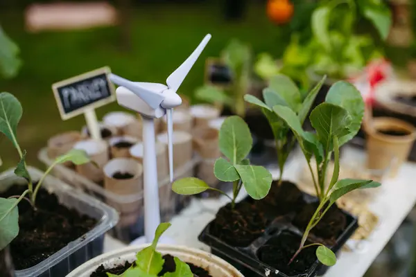 Stock image Growing vegetables and herb seedlings. Outdoor sustainable education class in school garden Concept of experiential learning, ecoliteracy.