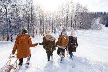 Arkalarından kızak çeken bir grup arkadaş, karlı doğada kızakla kaymaya gidiyorlar. Mevsimin ilk karı