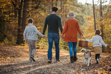 Sonbahar ormanında yürüyüşe çıkmış iki çocuklu ve köpekli genç bir aile, mantar avcılığı. Arka manzara, yürüyüş ve el ele tutuşmalar.