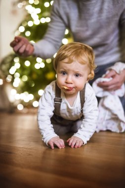 Noel evinde küçük bir oğlan. Noel ağacının yanında Noel kurabiyesi yiyen tatlı çocuk.