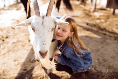 Soğuk kış haftasonunu çiftlikte geçiren genç bir kız hayvanlara bakıyor ve sakallı beyaz keçiyi okşuyor..