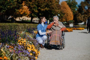 Sıcak bir sonbahar gününde parkta yürüyen tekerlekli sandalyeli yaşlı kadın. Genç hemşire yaşlı kadına çiçek gösteriyor..