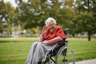 Portrait of elderly woman sitting in wheelchair, spending warm autumn day in city park. clipart