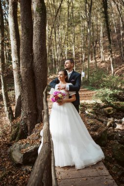 Ormanla çevrili güzel bir gelin ve zarif bir damat portresi..