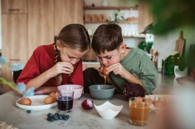 Kardeşler yumurta süsleme için yumurta kabuğu hazırlıyorlar. Yumurta üfleme. Çocuklar el işi projesi.