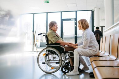 Tekerlekli sandalyedeki yaşlı hasta kadın doktorla konuşuyor. Kıdemli sağlık hizmetleri.