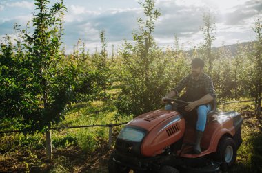 Meyve bahçesinde meyve ağaçları arasında biçen olgun bir çiftçi, küçük bir traktörle çim biçiyor..