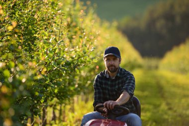 Meyve bahçesinde küçük bir traktörün üzerinde oturan çiftçi.