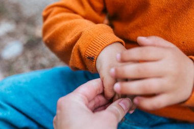 Baba ve oğlunun doğa yürüyüşü sırasında bir böcek gözlemlemesine yakın çekim..