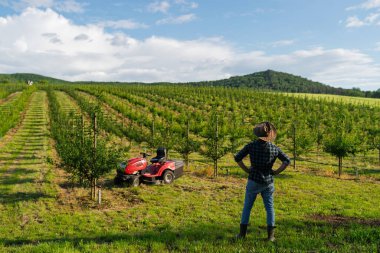Gün batımında meyve bahçesinde açık havada yürüyen olgun bir çiftçi. Kopyalama alanı.