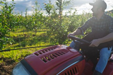 Yetişkin bir çiftçi küçük traktörle meyve ağaçları arasında çim biçiyor..