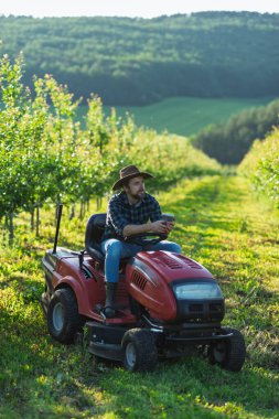 Meyve bahçesinde küçük bir traktör üzerinde oturan olgun çiftçi, huzurlu anın tadını çıkarıyor..