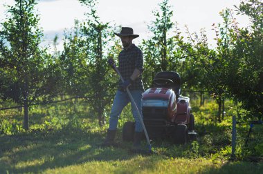 Çiftçi gün batımında meyve bahçesinin ortasında çalışıyor. Bir kopyalama alanı.