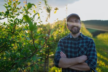 Gün batımında meyve bahçesinin ortasında duran olgun bir çiftçi. Bir kopya alanı..