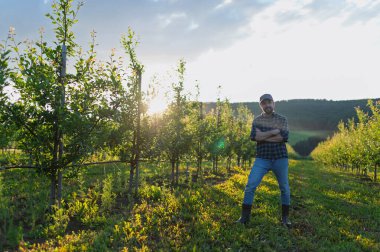 Gün batımında meyve bahçesinin ortasında duran olgun bir çiftçi. Bir kopya alanı..