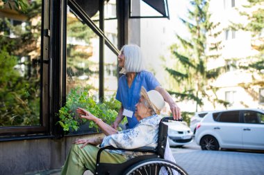 Tekerlekli sandalyedeki yaşlı kadına yardım eden kadın hemşire, vitrine bakıyor..