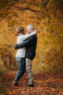 Renkli sonbahar ormanlarının ortasında duran emekli çift. Sonbahar sezonu.