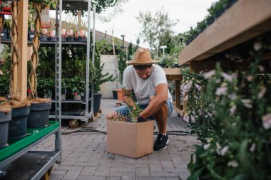 Çiçeklere bakan erkek müşteri, bitki yetiştirme odasında, bahçe bitkileri için alışveriş yapıyor..
