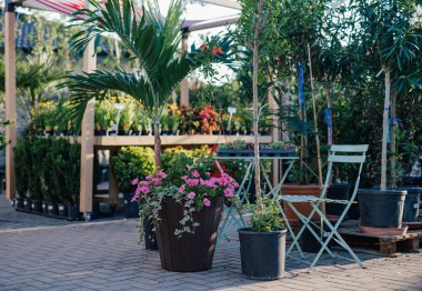 Çiçekler ve bitkilerle dolu bir bahçe merkezi.