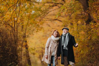 Renkli sonbahar ormanlarının ortasında duran emekli çift. Sonbahar sezonu.