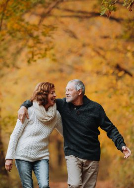 Sonbahar yapraklarıyla çevrili yaşlı bir çift tarafından sonbahar ormanlarında romantik bir yürüyüş..