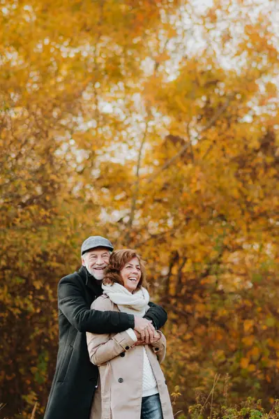 Sonbahar yapraklarıyla çevrili yaşlı bir çift tarafından sonbahar ormanlarında romantik bir yürüyüş..