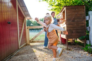 Küçük çocuk çiftlikte oynuyor, tavuk koşusunda koşuyor. Çiftçi ailesi.
