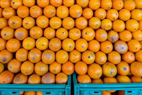 Citrus Delight: A Colorful Display of Oranges