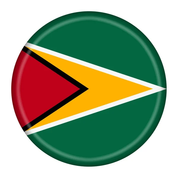 Pulsante Bandiera Guyana Illustrazione Con Percorso Ritaglio — Foto Stock